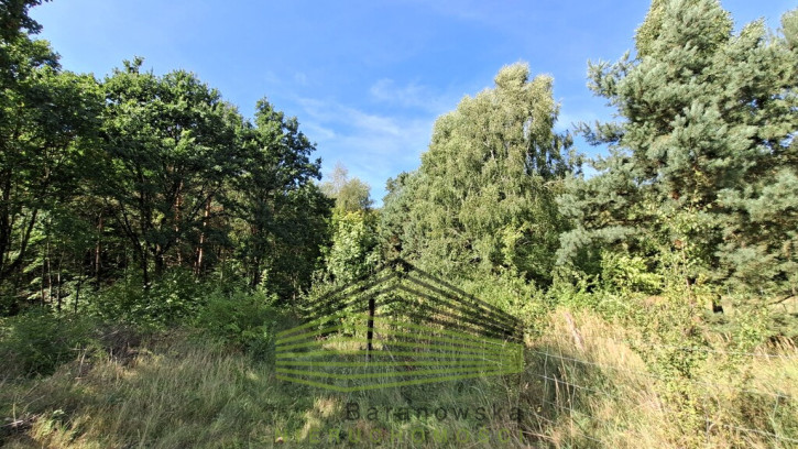 Działka Sprzedaż Bogdaniec 1