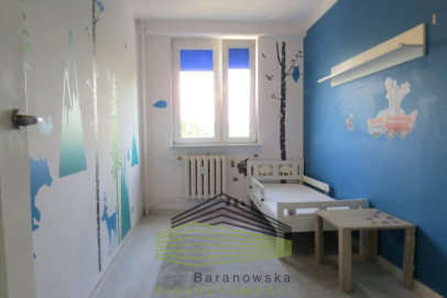 Mieszkanie Wynajem Gorzów Wielkopolski os. Sady