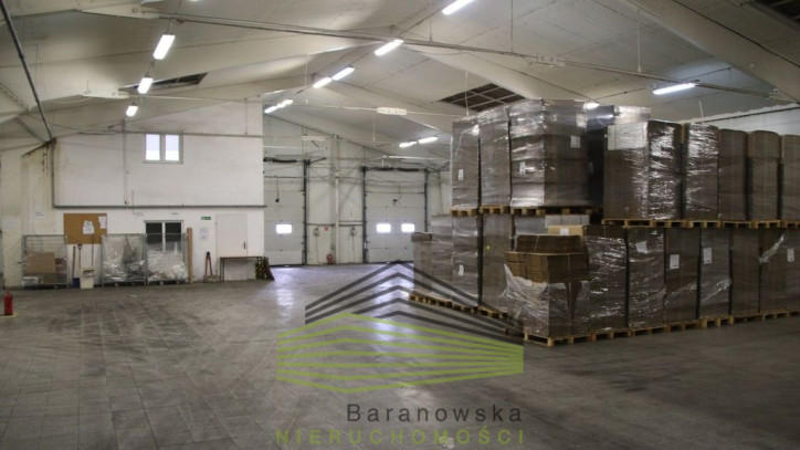 Obiekt Wynajem Gorzów Wielkopolski 4