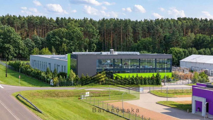 Obiekt Wynajem Skwierzyna 3