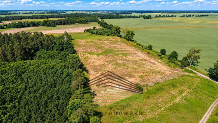 Działka Sprzedaż Baczyna-Kolonia 8