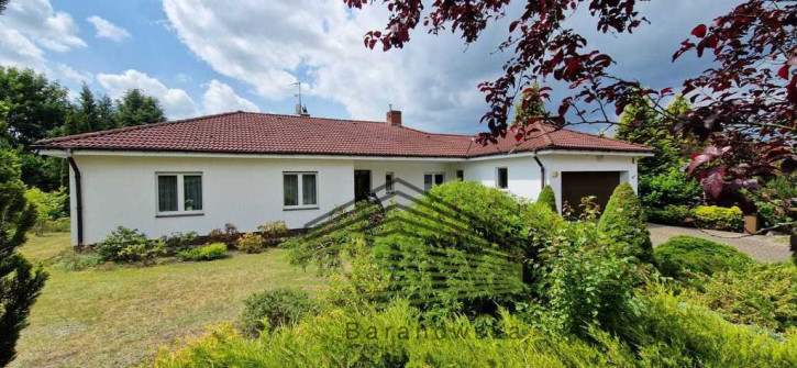 Dom Sprzedaż Kłodawa 3