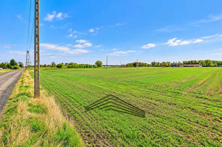 Działka Sprzedaż Gorzów Wielkopolski Zakanale 2