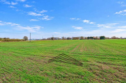 Działka Sprzedaż Gorzów Wielkopolski Zakanale