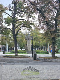 Lokal Wynajem Gorzów Wielkopolski Bolesława Chrobrego