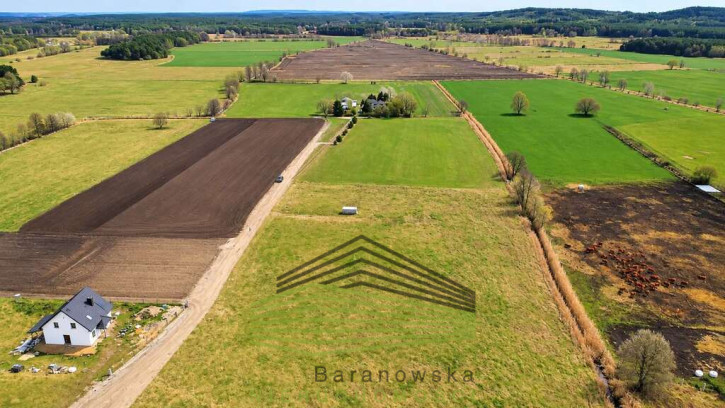 Działka Sprzedaż Skwierzyna 5
