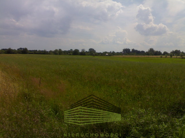 Działka Sprzedaż Gorzów Wielkopolski