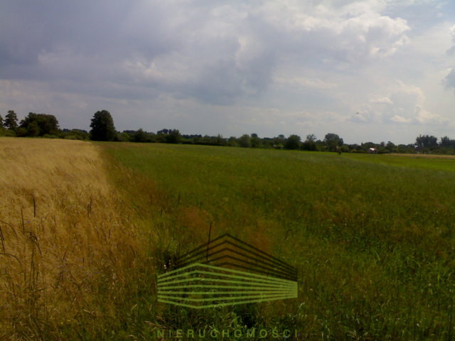 Działka Sprzedaż Gorzów Wielkopolski 3