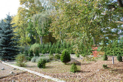 Dom Sprzedaż Santoczno