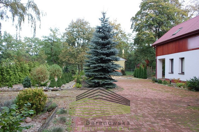 Dom Sprzedaż Santoczno 2