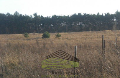 Działka Sprzedaż Pniów