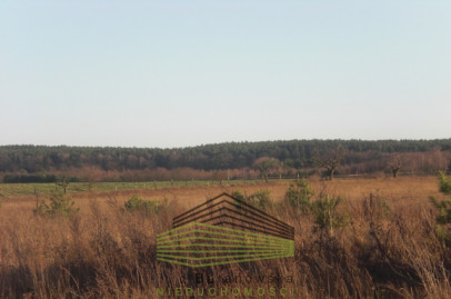 Działka Sprzedaż Pniów