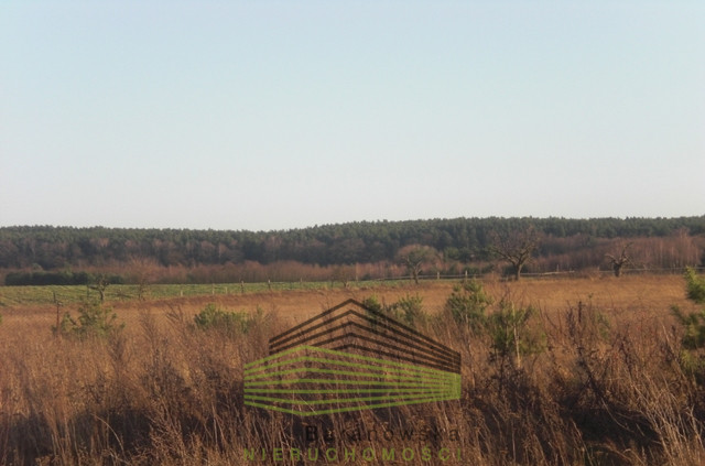 Działka Sprzedaż Pniów 1