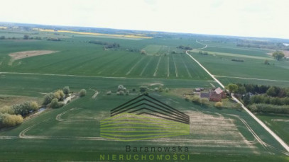 Dom Sprzedaż Myślibórz