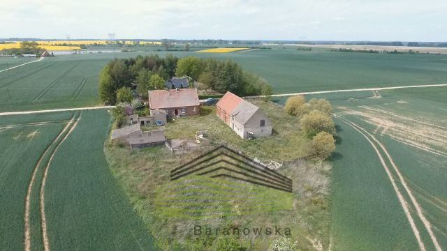 Dom Sprzedaż Myślibórz 3