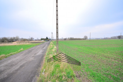 Działka Sprzedaż Gorzów Wielkopolski Zakanale
