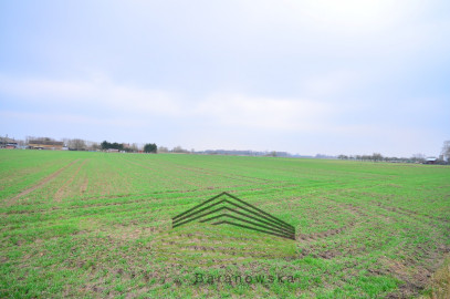 Działka Sprzedaż Gorzów Wielkopolski Zakanale