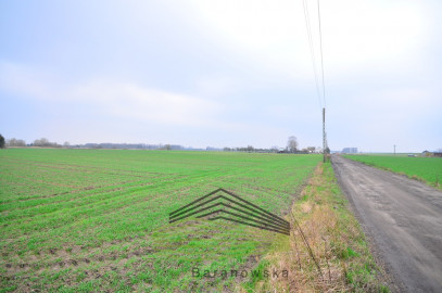 Działka Sprzedaż Gorzów Wielkopolski Zakanale