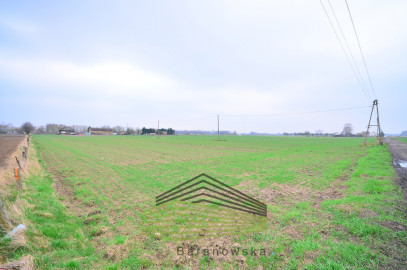 Działka Sprzedaż Gorzów Wielkopolski Zakanale