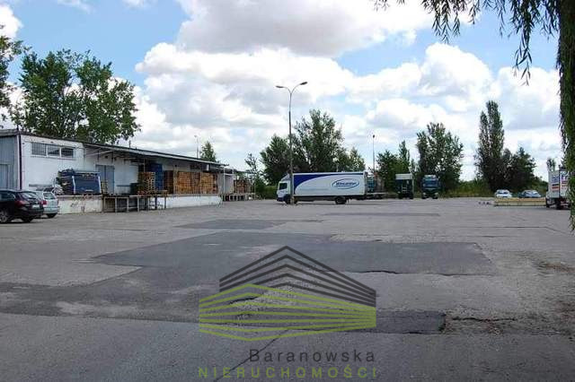 Lokal Wynajem Gorzów Wielkopolski 6
