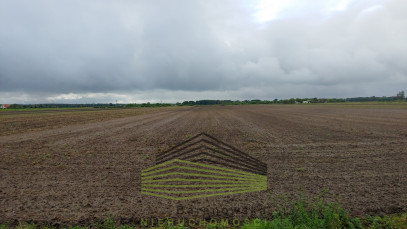 Działka Sprzedaż Gorzów Wielkopolski Zieleniec