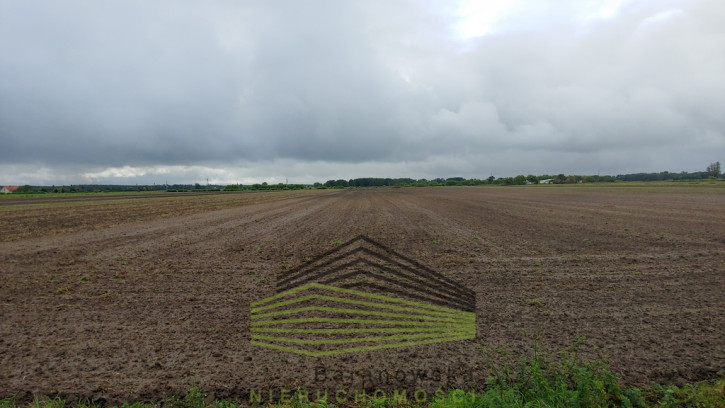Działka Sprzedaż Gorzów Wielkopolski Zieleniec 2
