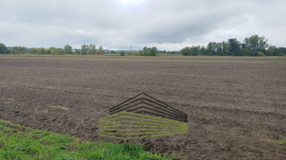 Działka Sprzedaż Gorzów Wielkopolski Zieleniec