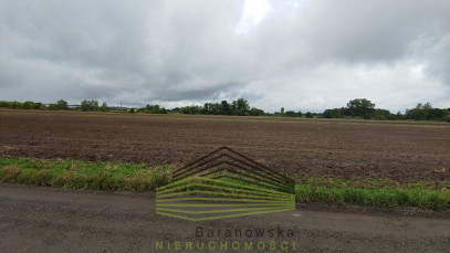 Działka Sprzedaż Gorzów Wielkopolski Zieleniec