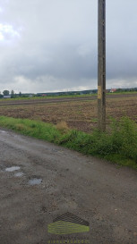 Działka Sprzedaż Gorzów Wielkopolski Zieleniec