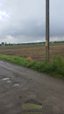 Działka Sprzedaż Gorzów Wielkopolski Zieleniec 5