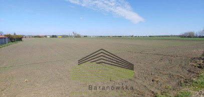 Działka Sprzedaż Gorzów Wielkopolski Zakanale