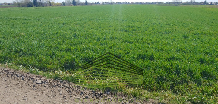 Działka Sprzedaż Gorzów Wielkopolski Zakanale 4