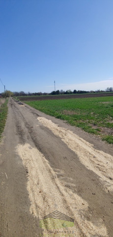 Działka Sprzedaż Gorzów Wielkopolski Zakanale 1