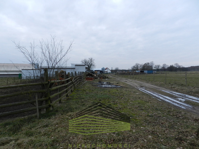 Działka Sprzedaż Ściechów 5