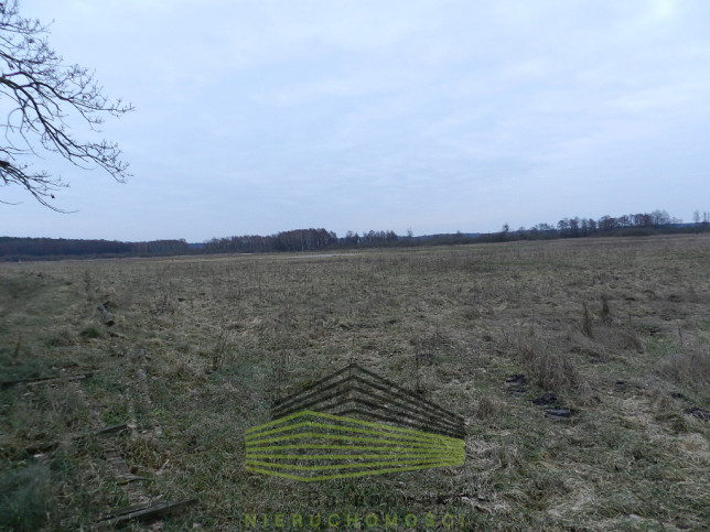 Działka Sprzedaż Ściechów 6