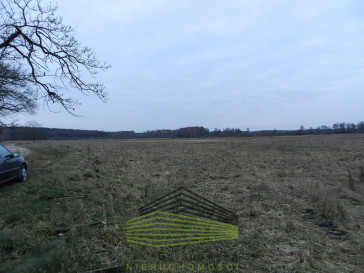 Działka Sprzedaż Ściechów
