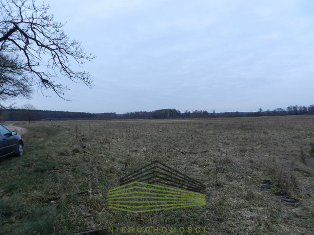 Działka Sprzedaż Ściechów 7