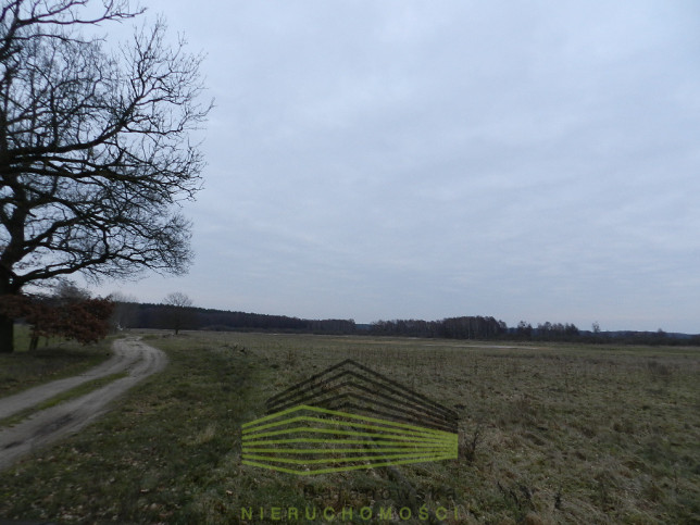 Działka Sprzedaż Ściechów 8