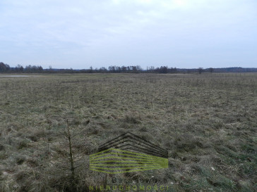 Działka Sprzedaż Ściechów