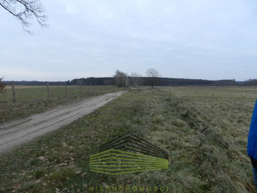 Działka Sprzedaż Ściechów