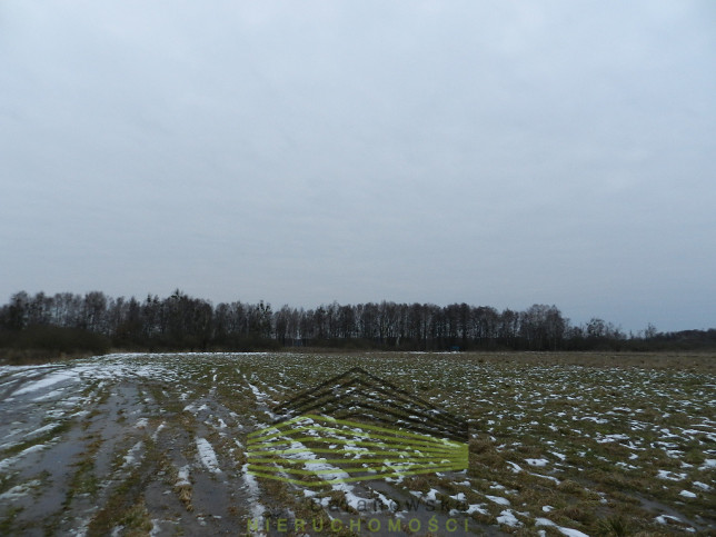 Działka Sprzedaż Ściechów 11