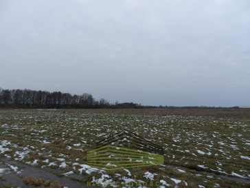 Działka Sprzedaż Ściechów