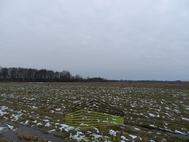 Działka Sprzedaż Ściechów 12