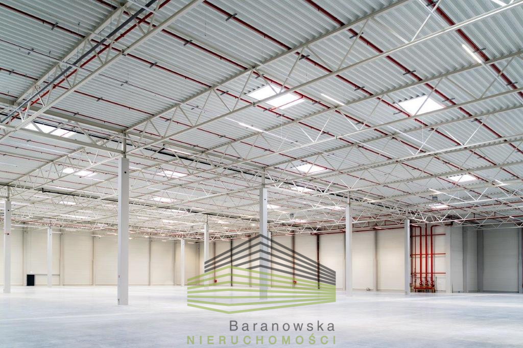 Obiekt Wynajem Gorzów Wielkopolski