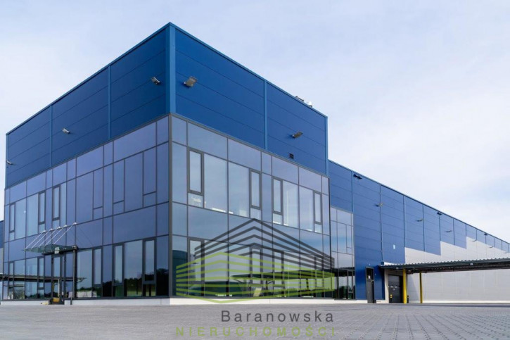 Obiekt Wynajem Gorzów Wielkopolski 8