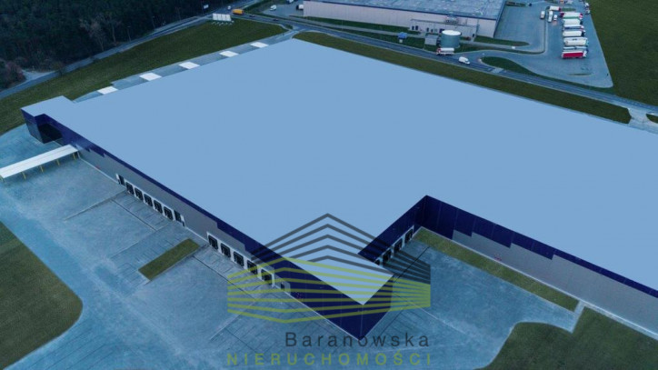 Obiekt Wynajem Gorzów Wielkopolski 14