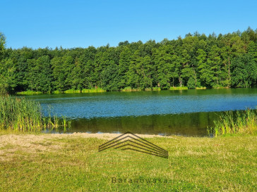 Działka Sprzedaż Parzeńsko