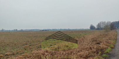 Działka Sprzedaż Łagodzin