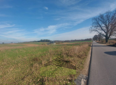 Działka Sprzedaż Santocko