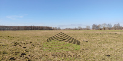 Działka Sprzedaż Bolemin